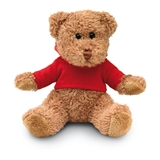 Teddybeer met sweatshirt